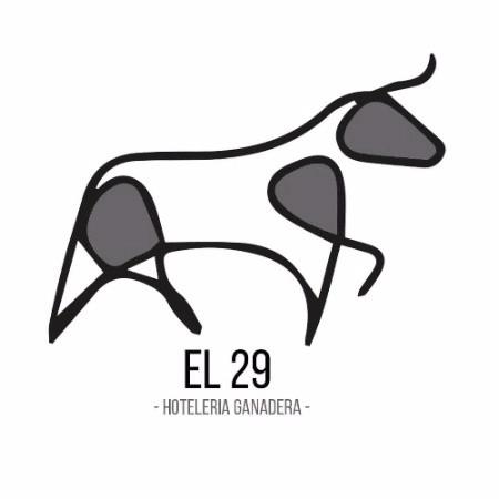 El 29