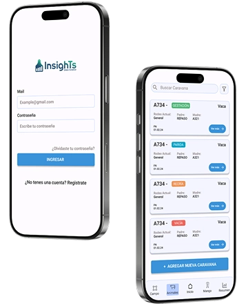 Vista de la App en un teléfono
